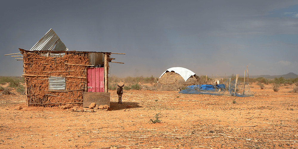 how-to-help-climate-refugees